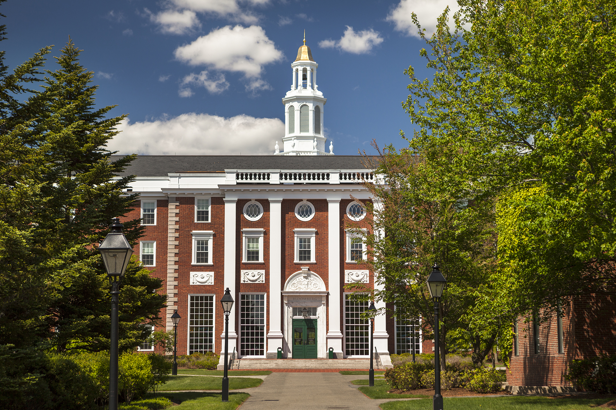 harvard
